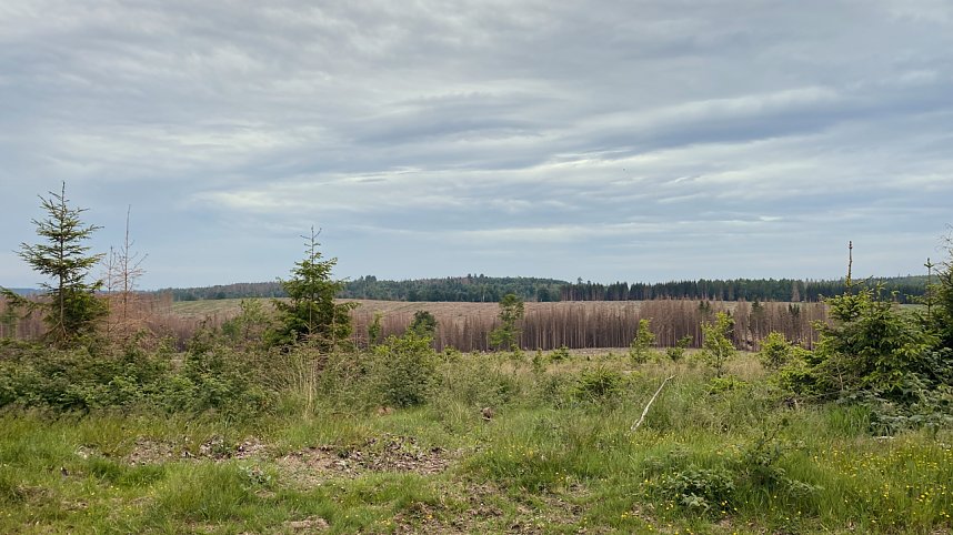 Eindr&uuml;cke aus dem Oberharz zwischen Trautenstein und Sophienhon