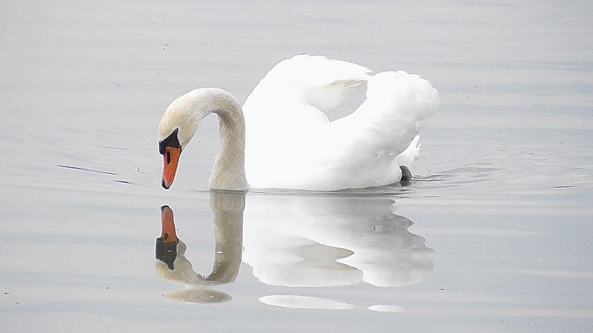 Unterwegs in der Goldenen Aue