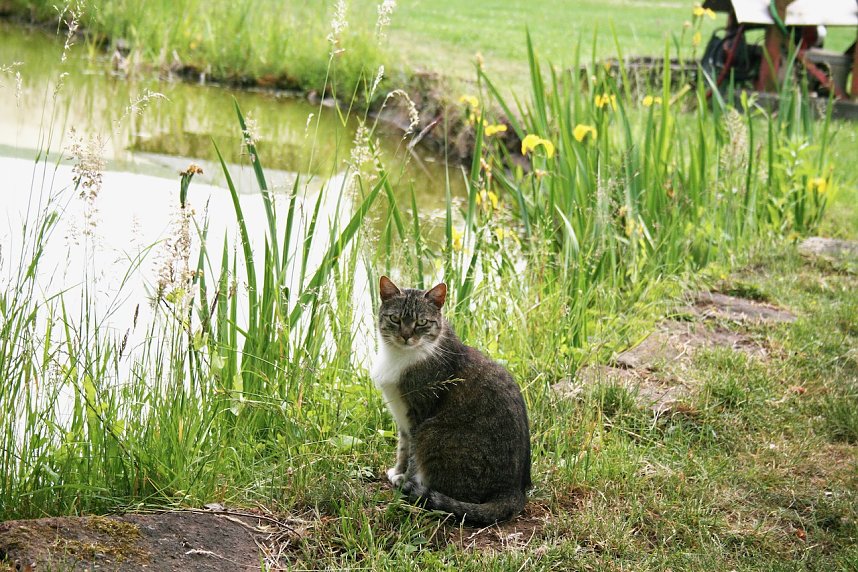 Unterwegs in der Goldenen Aue
