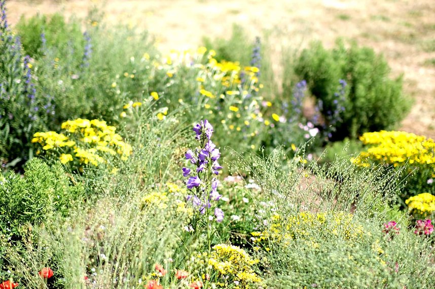 Entdeckungen auf dem Nordh&auml;user Petersberg