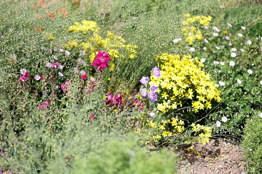 Entdeckungen auf dem Nordh&auml;user Petersberg