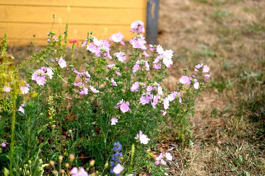 Entdeckungen auf dem Nordh&auml;user Petersberg