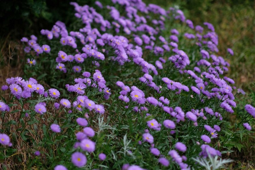 Entdeckungen auf dem Nordh&auml;user Petersberg