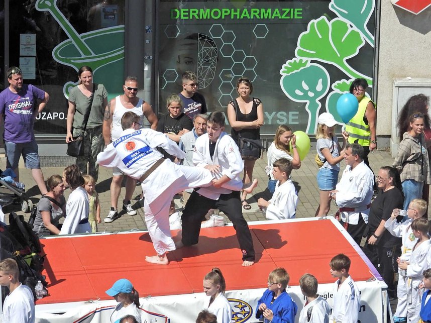 Festumzug zur 1095-Jahrfeier der Stadt Nordhausen