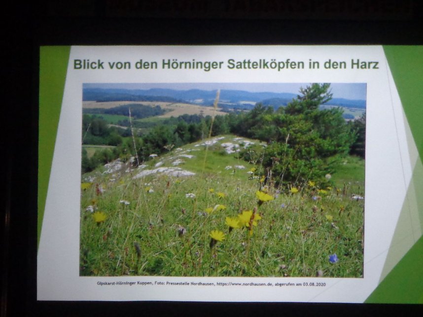 Vereinsabend der Geschichtsfreunde im Tabakspeicher