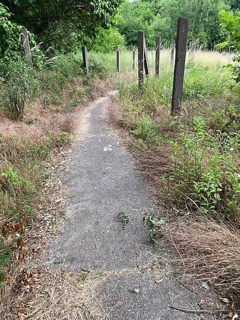 Unber&uuml;hrte Natur in Nordhausen?