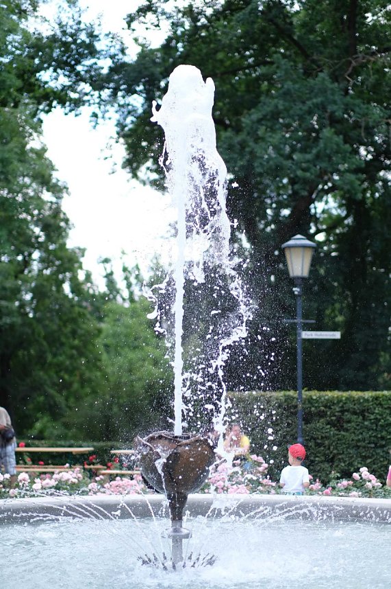 95. Jahre Rosengarten