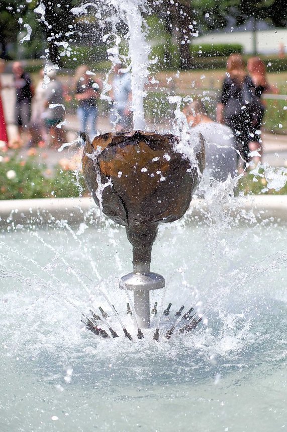 95. Jahre Rosengarten