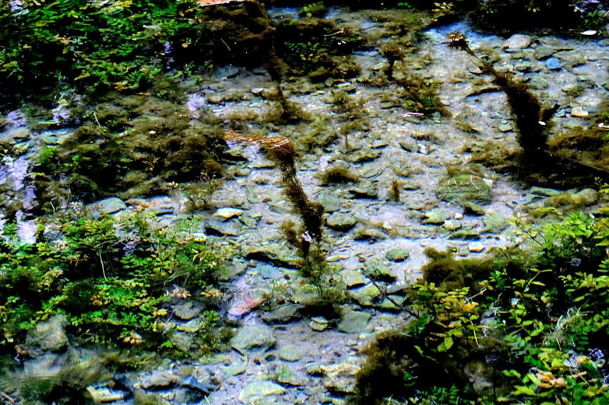 Peter Blei unterwegs an der Salzaquelle