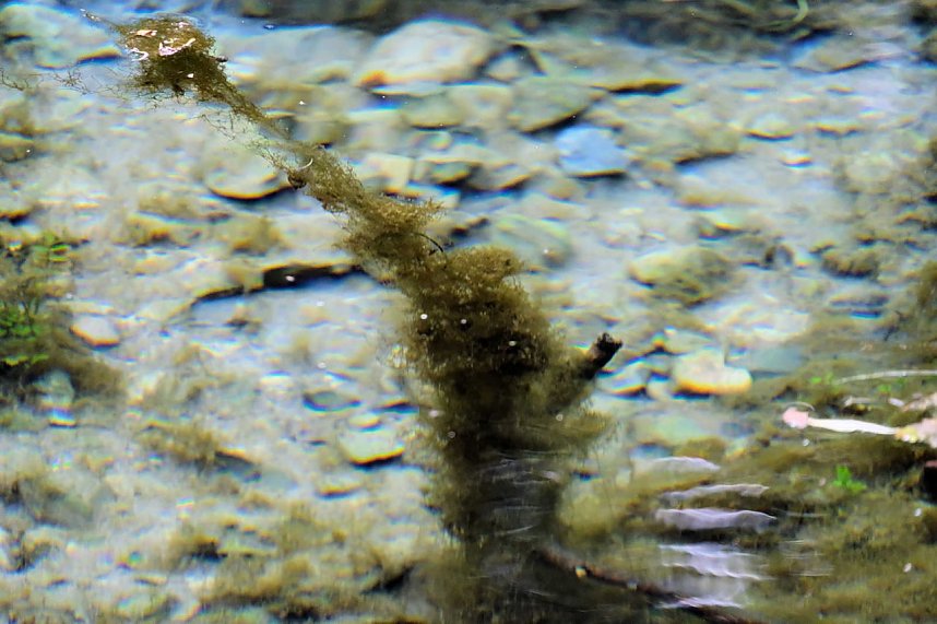 Peter Blei unterwegs an der Salzaquelle