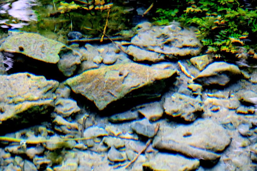 Peter Blei unterwegs an der Salzaquelle