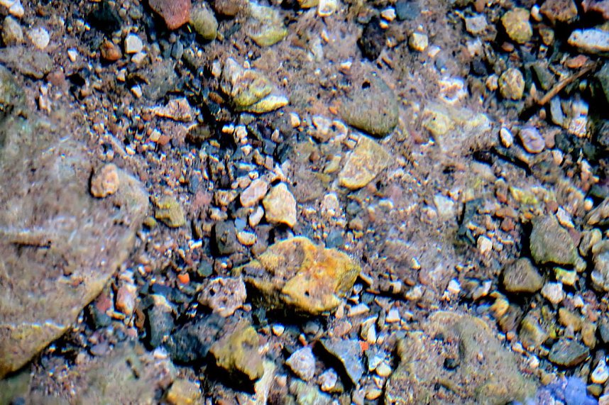 Peter Blei unterwegs an der Salzaquelle