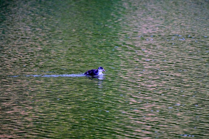 Peter Blei unterwegs an der Salzaquelle
