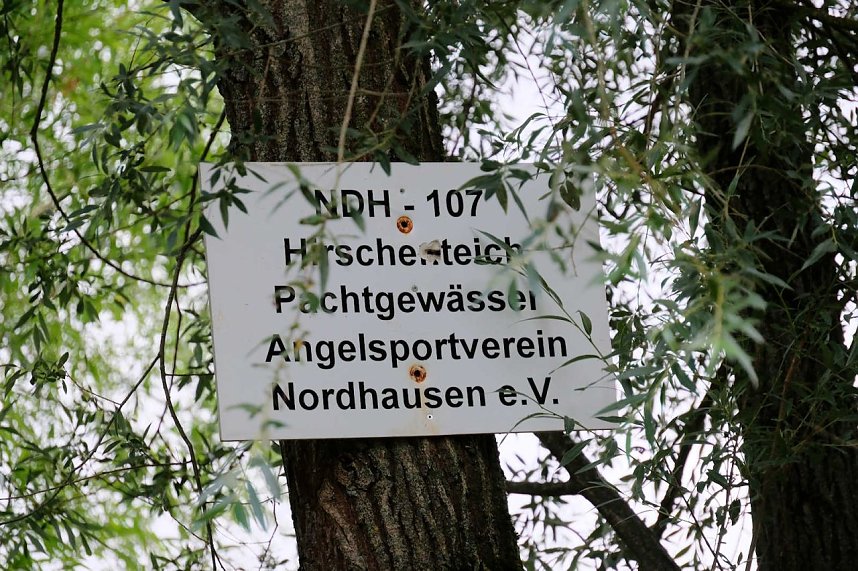 Peter Blei unterwegs an der Salzaquelle