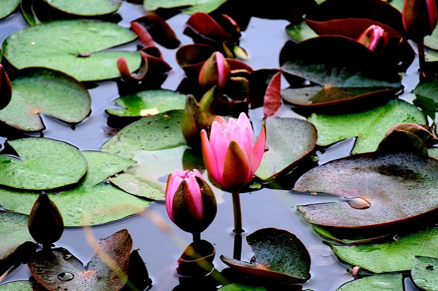 Peter Blei unterwegs an der Salzaquelle