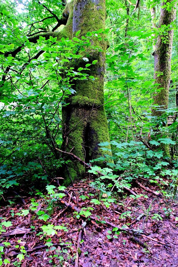 Peter Blei unterwegs an der Salzaquelle