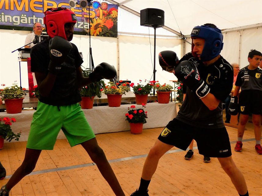 Versammelt, gefeiert und gew&auml;hlt