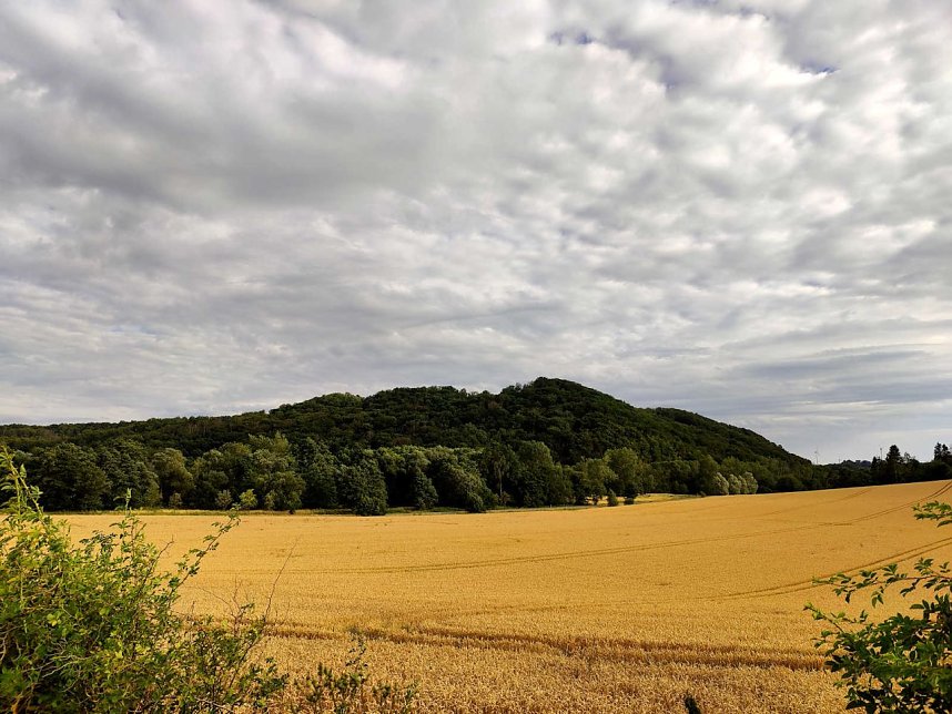 Peter Blei unterwegs an der Kelle