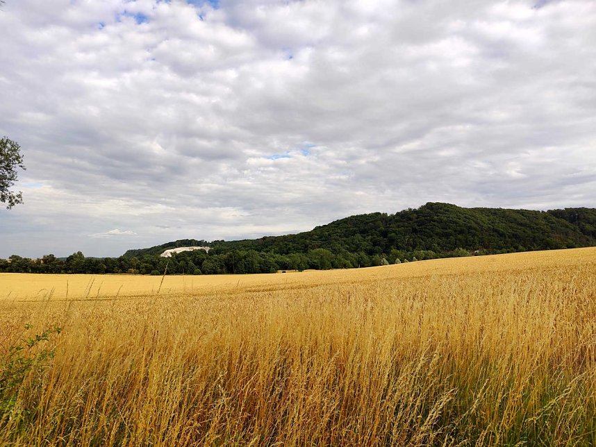 Peter Blei unterwegs an der Kelle