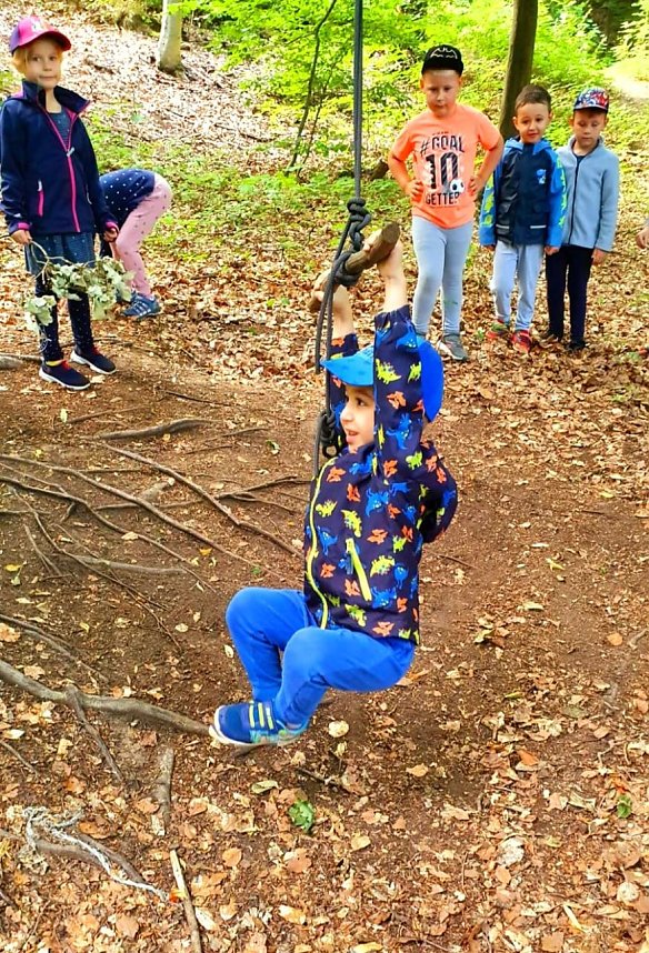 Wald-Finale vor der Sommerpause