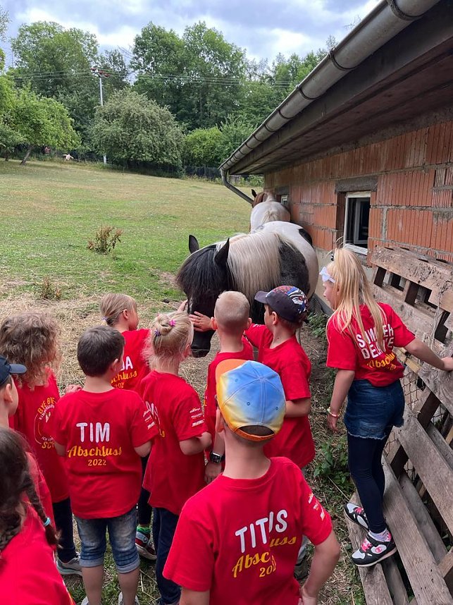 Zuckert&uuml;tenfest in Harz Rigi