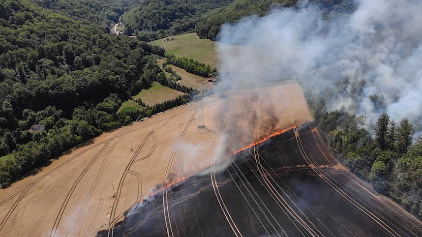 Waldbrand bei Wernrode