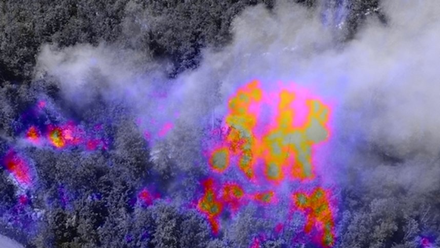 Waldbrand bei Wernrode