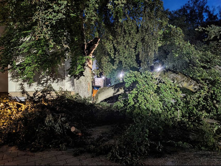 Ast begr&auml;bt Auto am Nordh&auml;user Theater