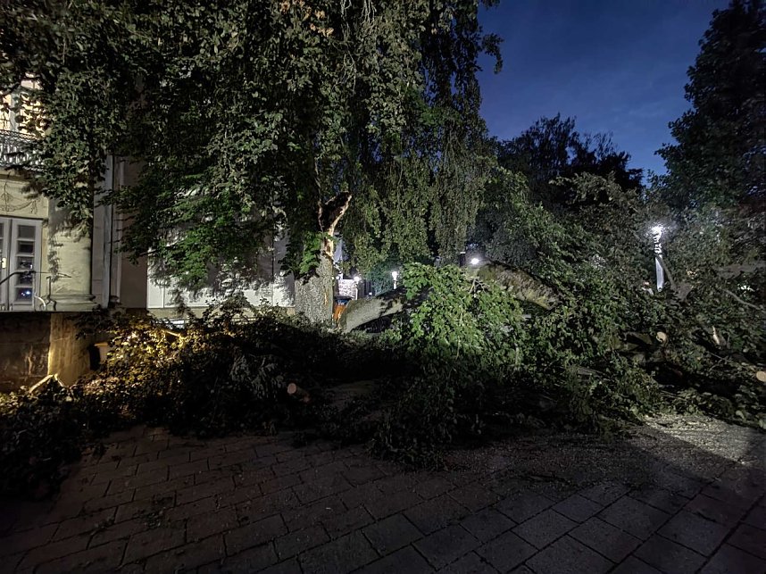 Ast begr&auml;bt Auto am Nordh&auml;user Theater
