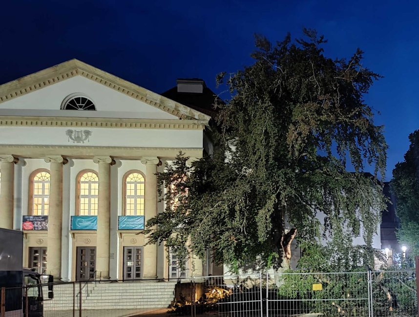 Ast begr&auml;bt Auto am Nordh&auml;user Theater