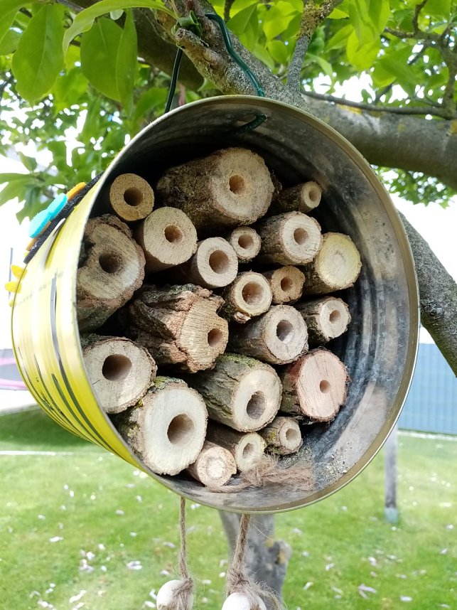 Bienenhotel mit angeschlossener Wiese