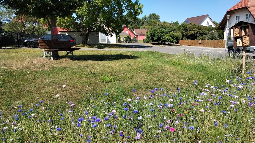 Bienenhotel mit angeschlossener Wiese