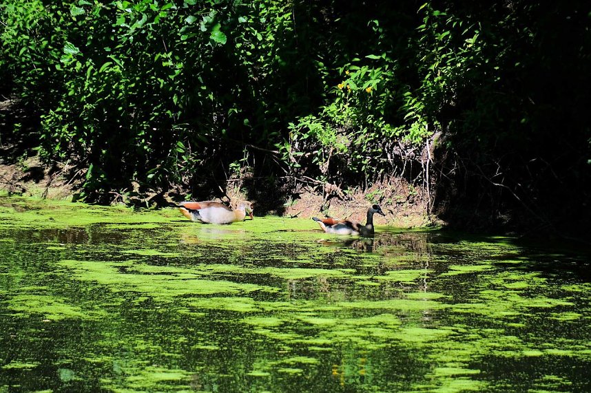 Peter Blei unterwegs in Liebenrode