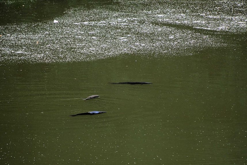 Peter Blei unterwegs in Liebenrode