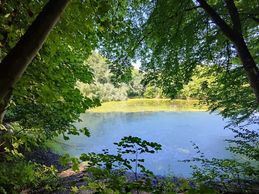 Peter Blei unterwegs in Liebenrode