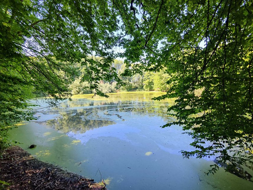 Peter Blei unterwegs in Liebenrode