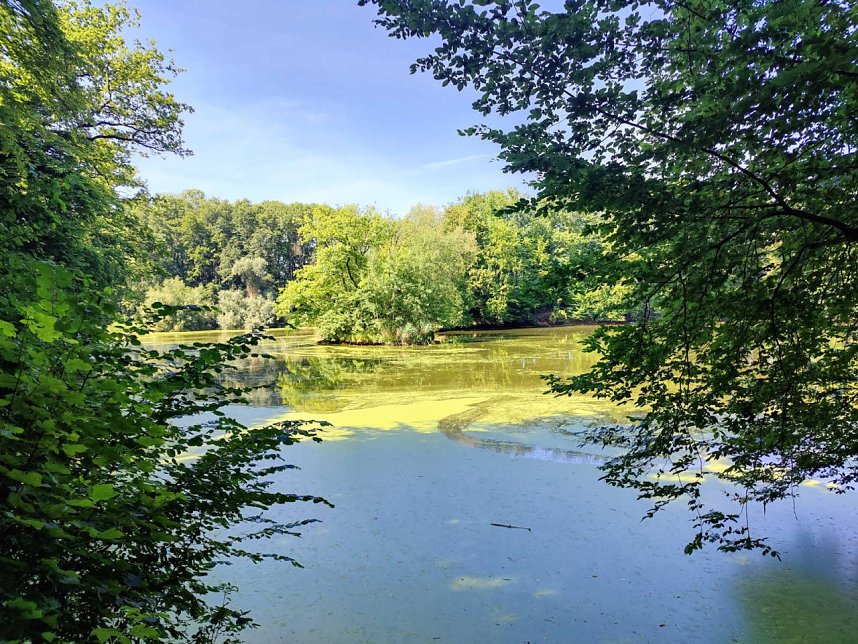Peter Blei unterwegs in Liebenrode