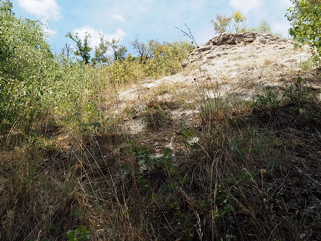 Besuch in Bad Frankenhausen