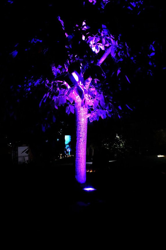 Peter Blei unterwegs auf dem Lichterfest