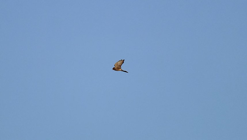 Abendstimmung am Stausee Kelbra