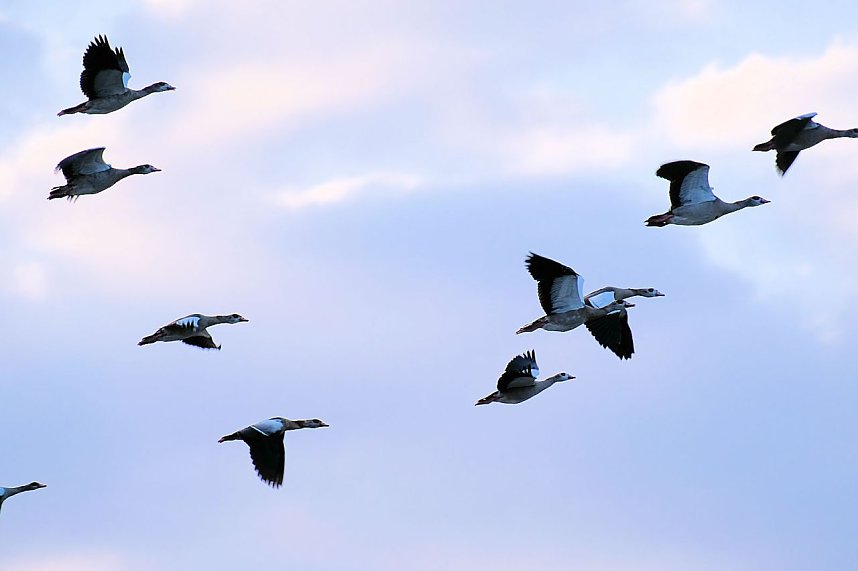 Abendstimmung am Stausee Kelbra