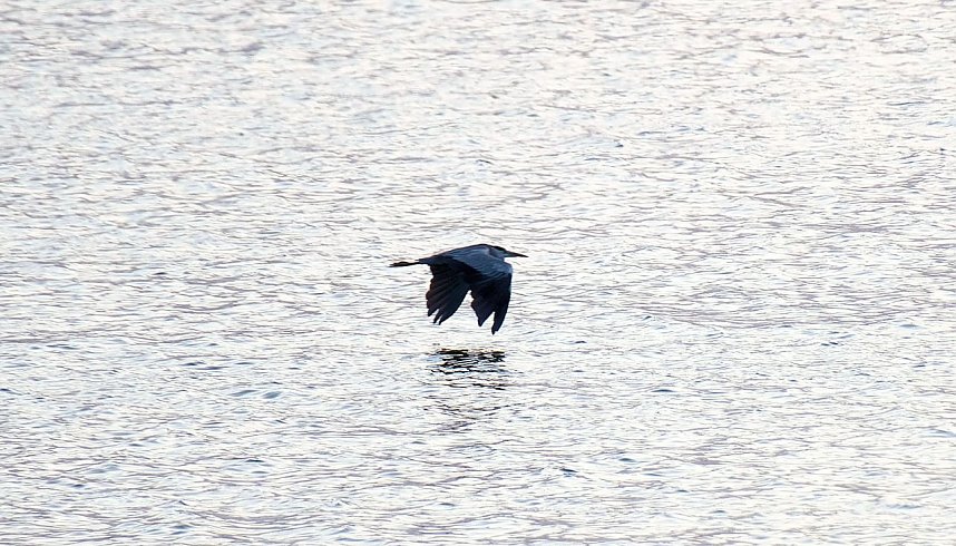 Abendstimmung am Stausee Kelbra