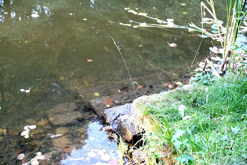 Am ehemaligen Waldbad Urbach 