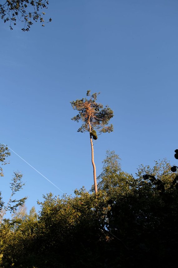 Am ehemaligen Waldbad Urbach 