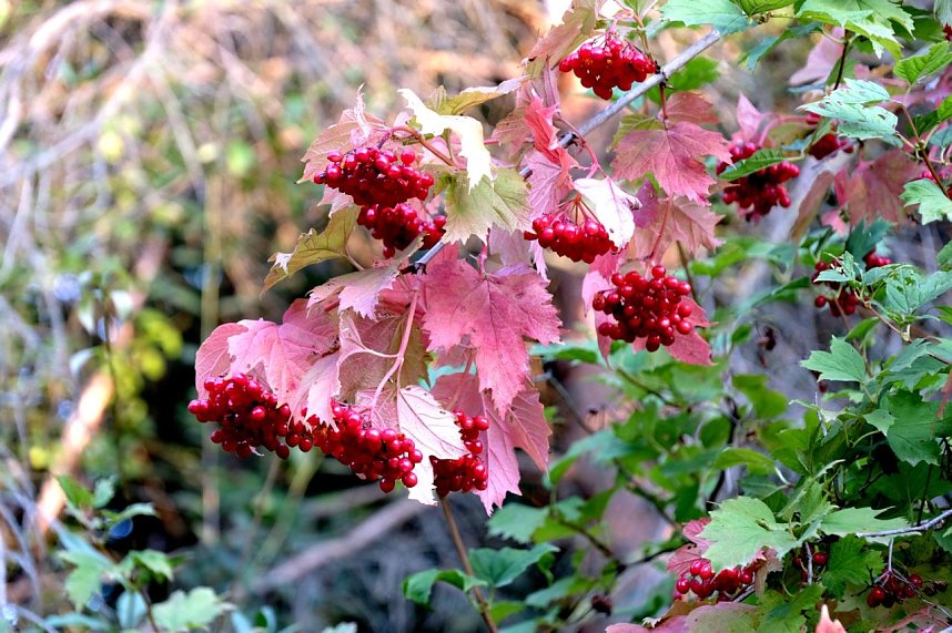 Am ehemaligen Waldbad Urbach 