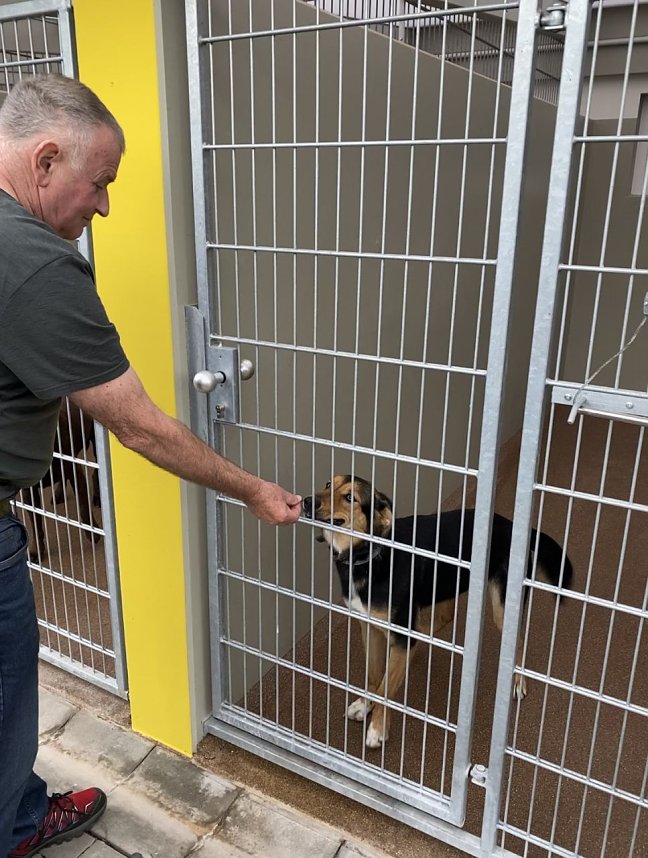 Tierheimfest in Nordhausen