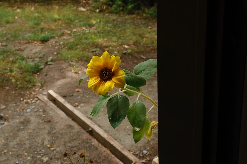 Stadtspaziergang zum Denkmalstag