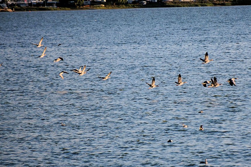 Abendliche Impressionen im Fr&uuml;hherbst