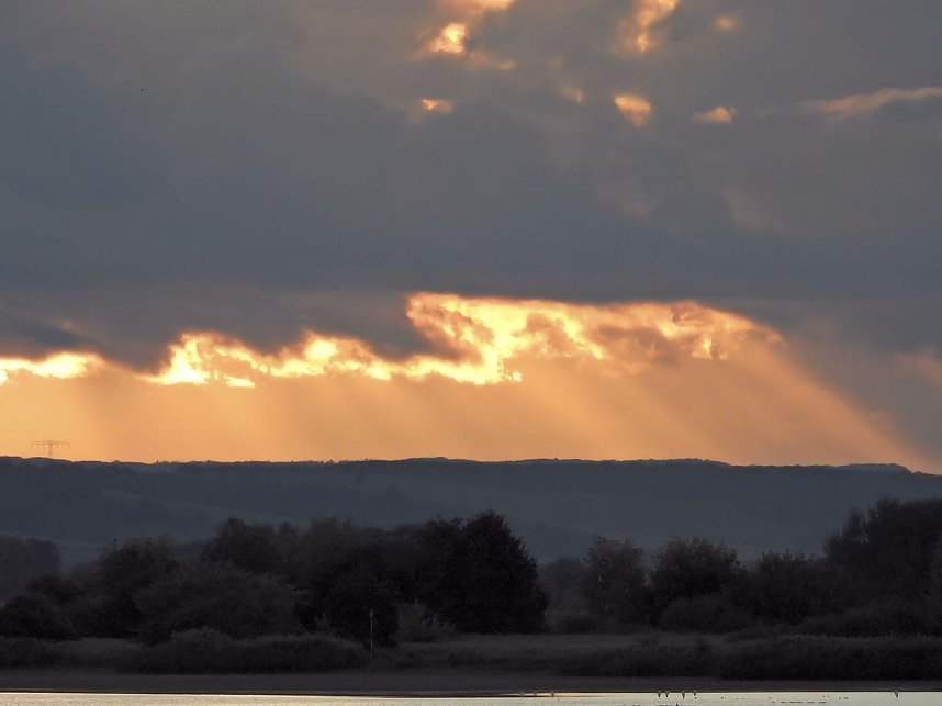 Beobachtungen am Kelbraer Stausee