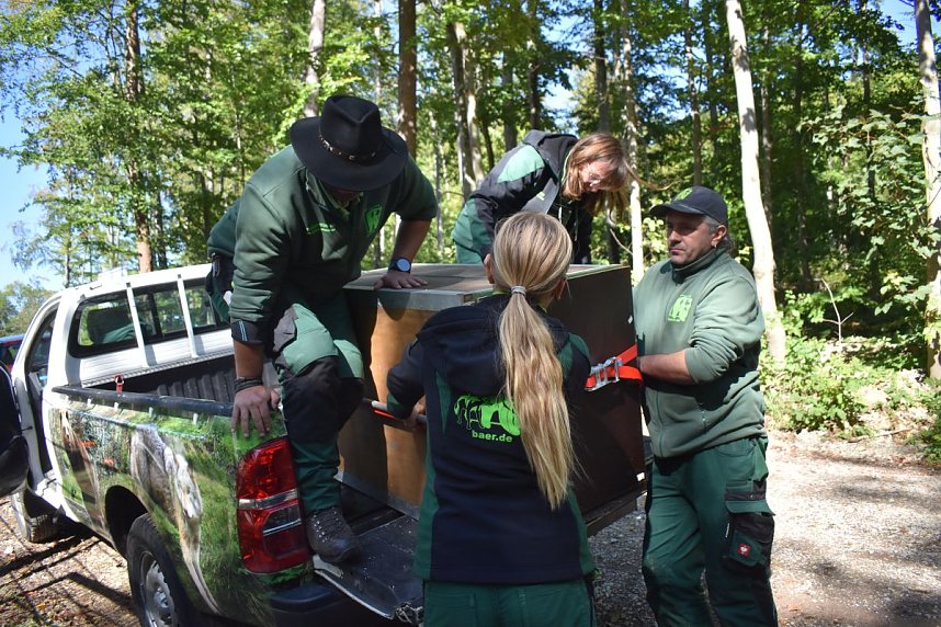 Neuank&ouml;mmling im B&auml;renpark